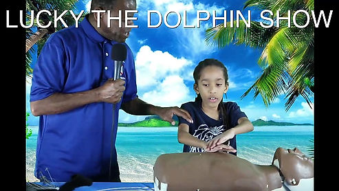 Lucky The Dolphin Show